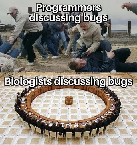 Programmers and Biologists Discussing Bugs