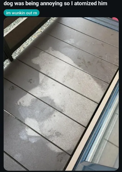 Dog Was Being Annoying