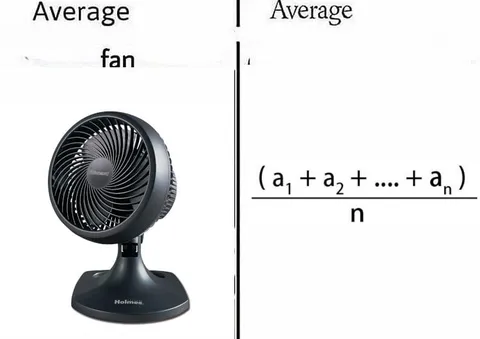 Average Fan vs Average
