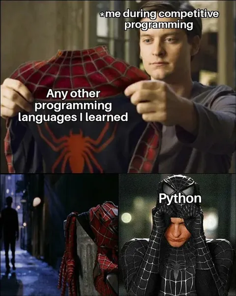 Python During Competitive Programming