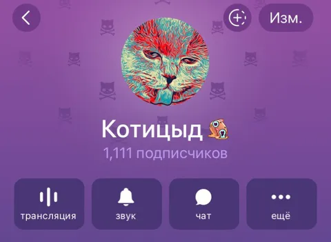 Котицид набрал 1111 подписчиков