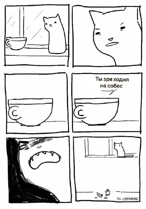 Ты зря ходил на собес