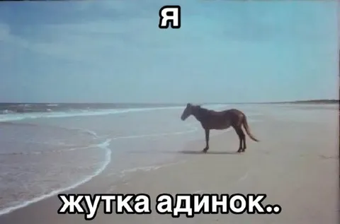 Жутко одинокая лошадь