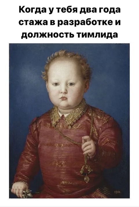 Два года стажа в разработке