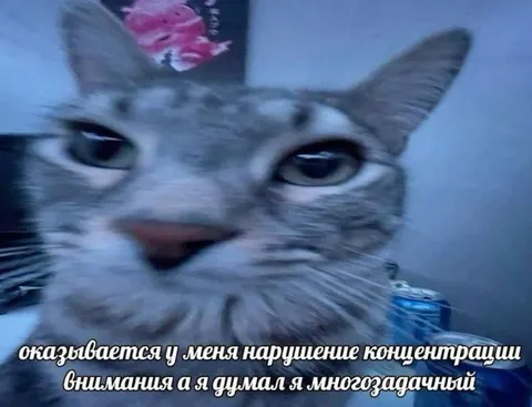 Оказывается, я не многозадачный