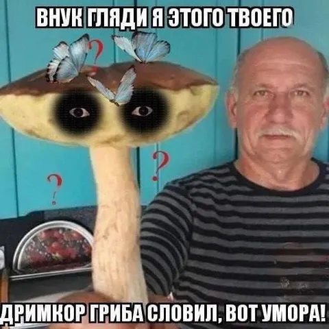 Дримкор гриб с глазами