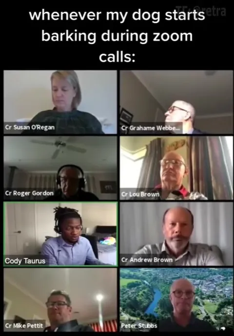 Dog Barking During Zoom Call