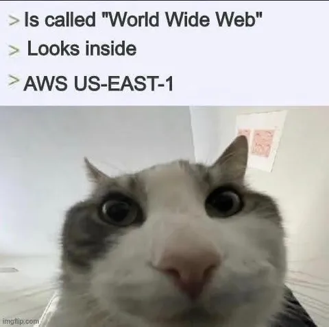 AWS US-East-1 Cat Reaction