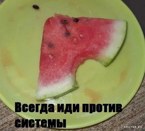 Арбуз против системы
