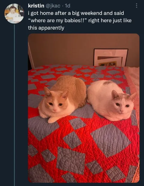 Where Are My Babies