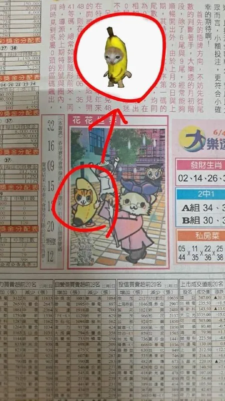 报纸上的香蕉猫