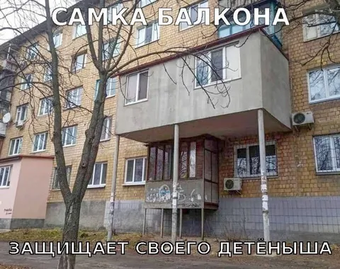 Самка балкона защищает детёныша