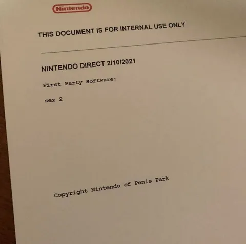 Nintendo Sex 2 Internal Document