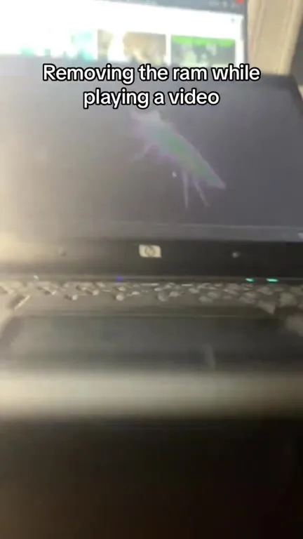 Removing RAM While Playing a Video