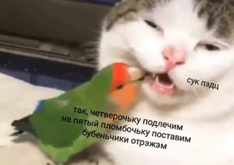 Четвёрочку подлечим