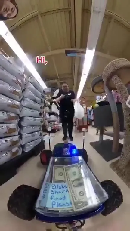 Robot Shark Food Run