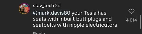 Tesla Butt Plugs and Seatbelts