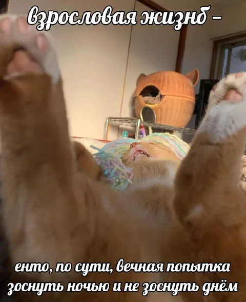 Вечная попытка выспаться