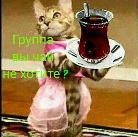 Кот предлагает чай группе