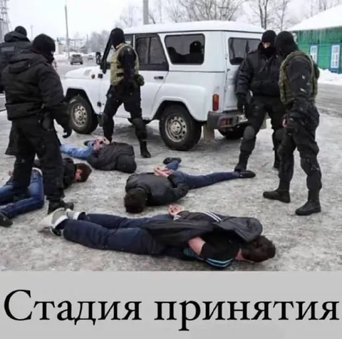 Стадия принятия