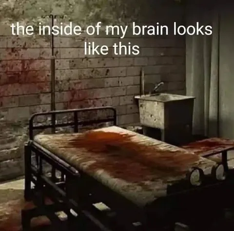 Inside My Brain Looks Like This