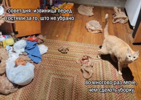Извиниться перед гостями за бардак