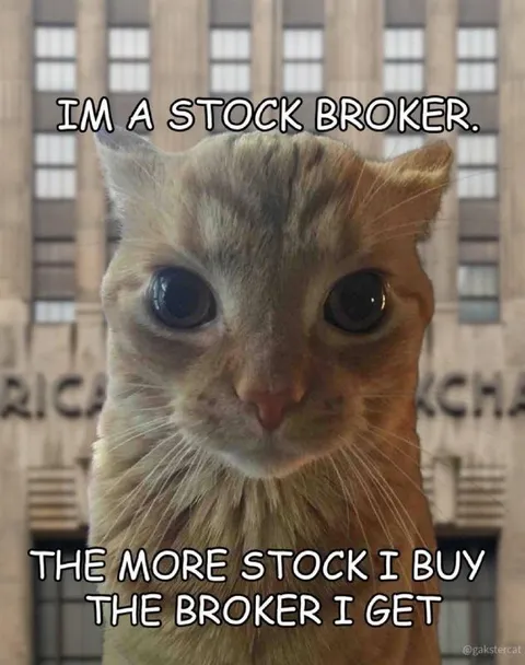 Cat Stock Broker Joke