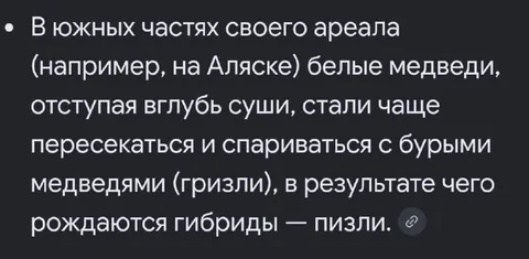 Белые медведи рождают пизли