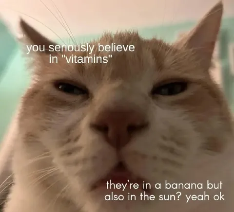 Cat Questions Vitamin Beliefs