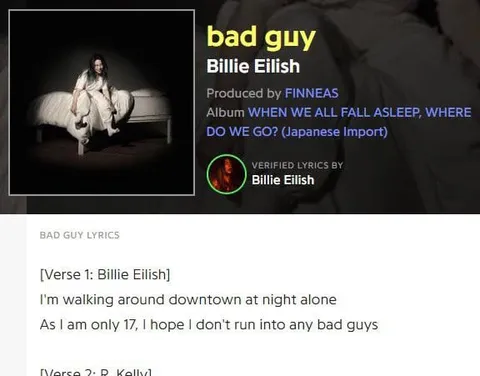 Bad Guy Lyrics Parody