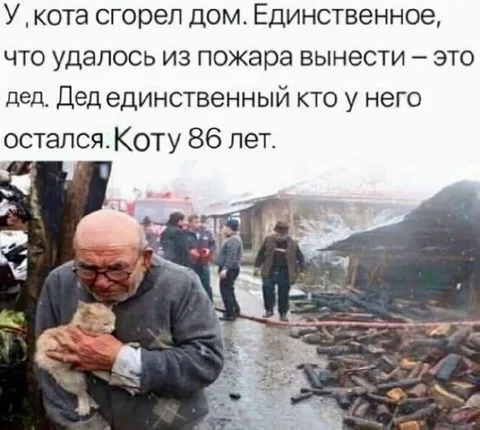 Кот вынес деда из пожара