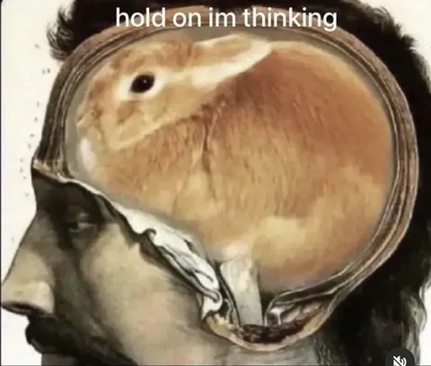 Hold On, I'm Thinking Rabbit