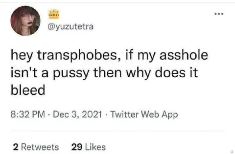 Transphobe Anatomy Punchline