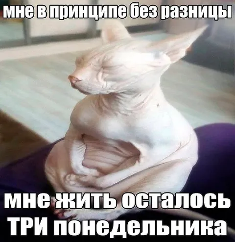 Три понедельника впереди