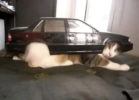 Кот, который стал машиной