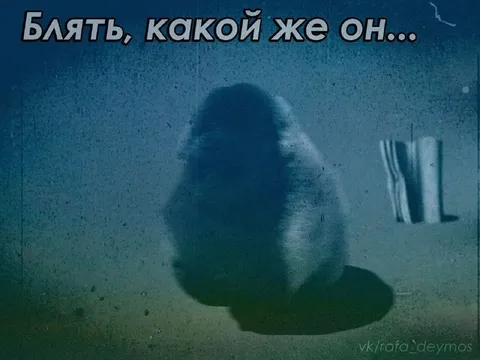 Блять, какой же он