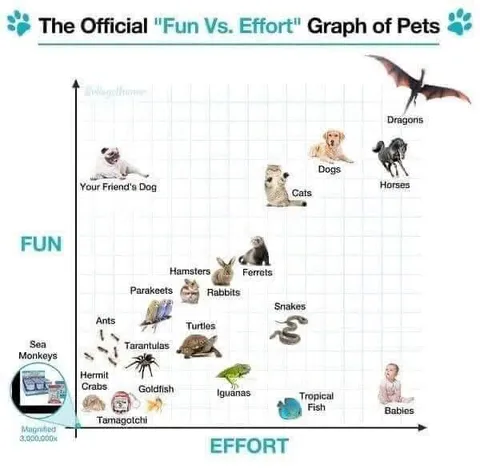 Official Fun vs Effort Pet Graph