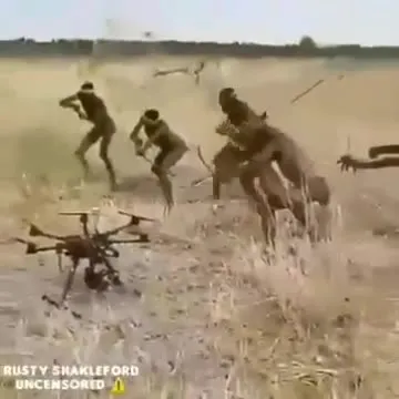 Шимпанзе запускают дрон