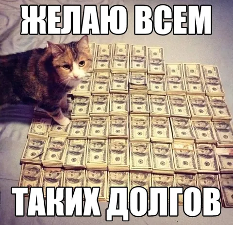 Кот и гора долларов