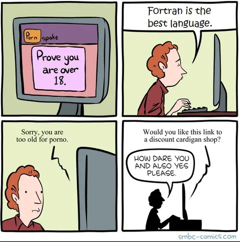 Too Old for Porno
