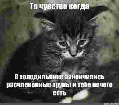 Когда закончились распиленные трупы
