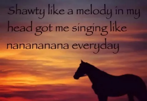 Shawty Like a Melody Horse Sunset