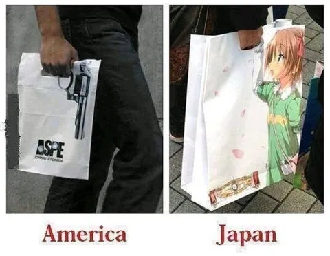America vs Japan Bags