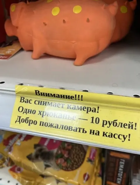 Хрюканье за десять рублей