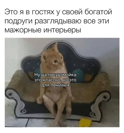 Кот оценивает богатый интерьер