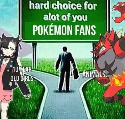 Hard Choice for Pokémon Fans