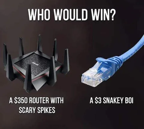 $350 Router vs $3 Snakey Boi