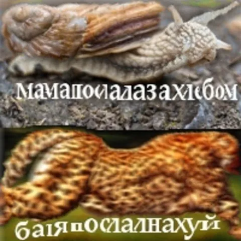 Улитки про маму и батю