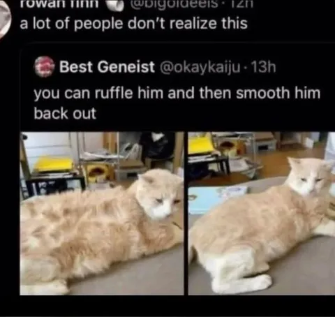 Ruffle Him, Smooth Him Back Out