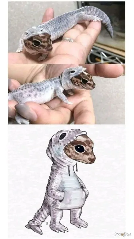 Маленький геккон в костюме